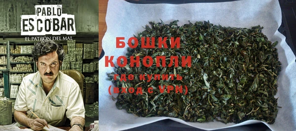 крисы Мегион