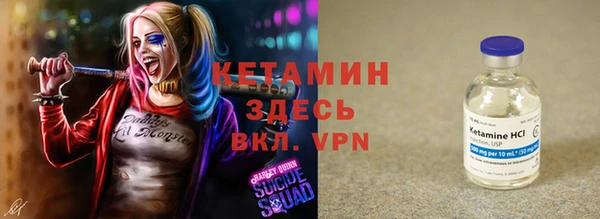 крисы Мегион