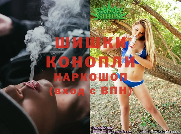 крисы Мегион
