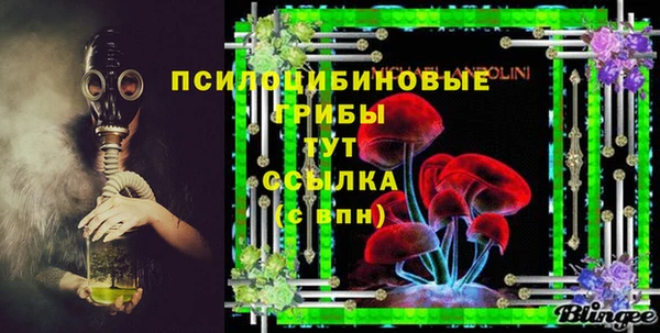 первитин Медвежьегорск