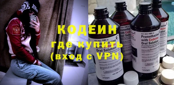 крисы Мегион