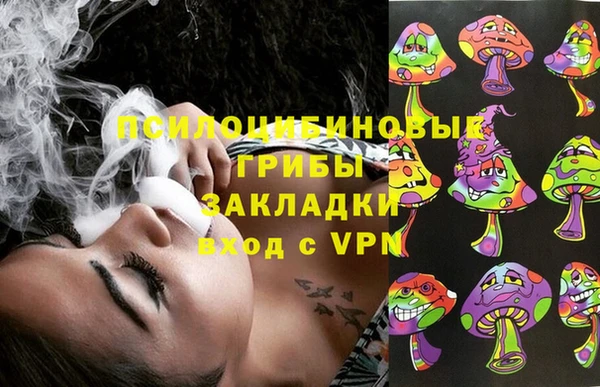 крисы Мегион
