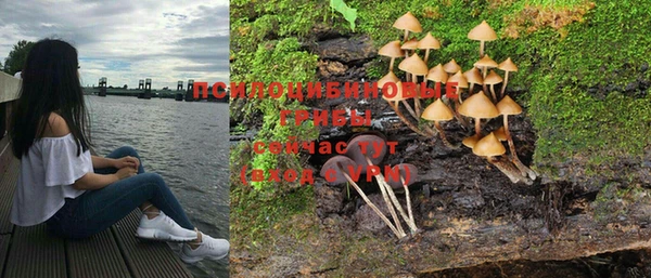 первитин Медвежьегорск