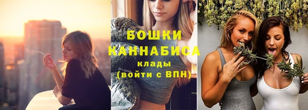 крисы Мегион