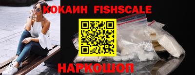 гашик Камышлов