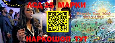 гашик Камышлов