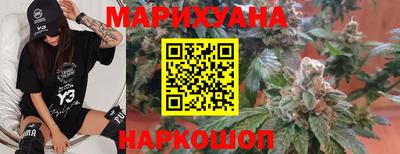 гашик Камышлов