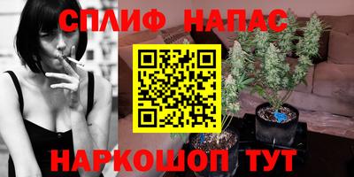 гашик Камышлов