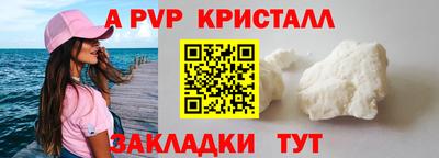 гашик Камышлов