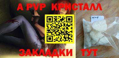 гашик Камышлов