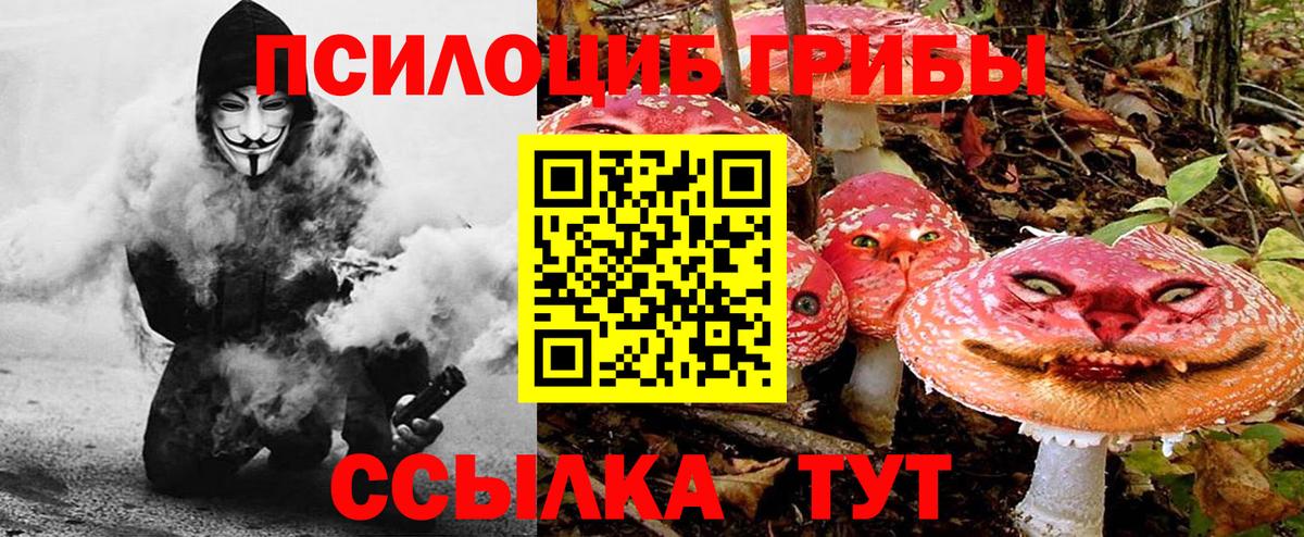 Псилоцибиновые грибы GOLDEN TEACHER  Южноуральск 