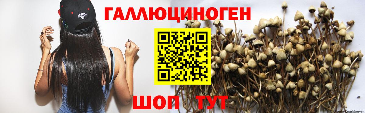 Южноуральск  Галлюциногенные грибы мухоморы  Вход с VPN 